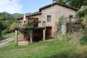 Llevant, El Molí de la Plana